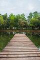 Footbridge Park Water Wall Decal