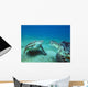 Sea turtles underwater Wall Decal