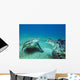 Sea turtles underwater Wall Decal