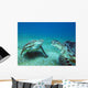 Sea turtles underwater Wall Decal