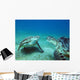 Sea turtles underwater Wall Decal