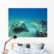 Sea turtles underwater Wall Decal