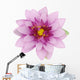 Beautiful purple lotus Wall Decal