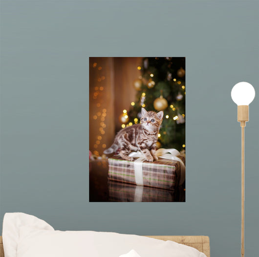 British Kitten, Christmas And New Year Wall Decal