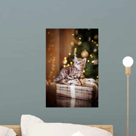 British kitten, Christmas and New Year Wall Decal