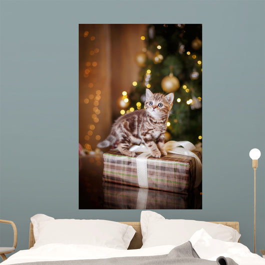 British kitten, Christmas and New Year Wall Decal