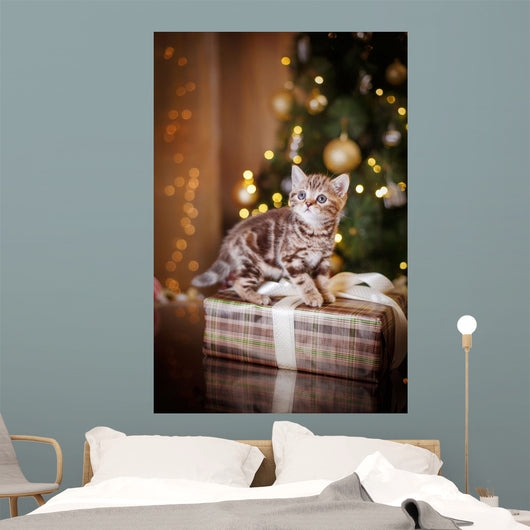 British kitten, Christmas and New Year Wall Decal