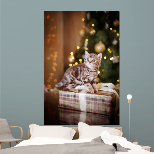 British kitten, Christmas and New Year Wall Decal