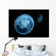 Moon Jellyfish Wall Decal