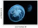 Moon Jellyfish Wall Decal