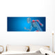 Conceptual human body anatomy pain on blue Wall Decal