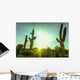 Desert sunrise in Scottsdale,Arizona Wall Decal