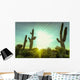 Desert sunrise in Scottsdale,Arizona Wall Decal