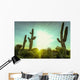 Desert sunrise in Scottsdale,Arizona Wall Decal