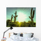 Desert sunrise in Scottsdale,Arizona Wall Decal