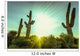 Desert sunrise in Scottsdale,Arizona Wall Decal