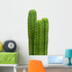 Group of San Pedro cacti (Echinopsis pachanoi) Wall Decal