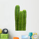 Group of San Pedro cacti (Echinopsis pachanoi) Wall Decal