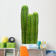 Group of San Pedro cacti (Echinopsis pachanoi) Wall Decal