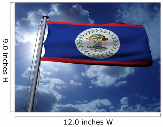 Belize Flag Wall Decal
