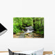 A river scene from the beautiful trekking paths of Ardennes area Wall Decal