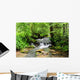 A river scene from the beautiful trekking paths of Ardennes area Wall Decal