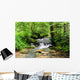 A river scene from the beautiful trekking paths of Ardennes area Wall Decal