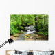 A river scene from the beautiful trekking paths of Ardennes area Wall Decal