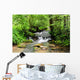 A river scene from the beautiful trekking paths of Ardennes area Wall Decal