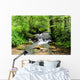 A river scene from the beautiful trekking paths of Ardennes area Wall Decal