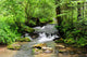 A river scene from the beautiful trekking paths of Ardennes area Wall Decal