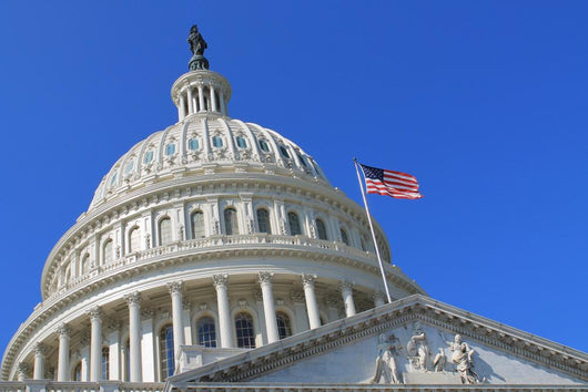 Capitol Building in Washington DC USA Wall Decal