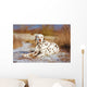 Dalmatian Dog Outdoors Winter Wall Decal