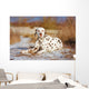 Dalmatian Dog Outdoors Winter Wall Decal
