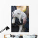 Lamb with Shepherd Vertical Wall Decal