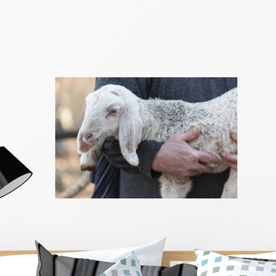 Lamb with Shepherd Wall Decal shown on a wall