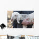 Lamb with Shepherd Wall Decal