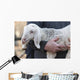 Lamb with Shepherd Wall Decal