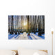 Bavarian Jewish Forest Graveyard Wall Decal