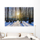Bavarian Jewish Forest Graveyard Wall Decal