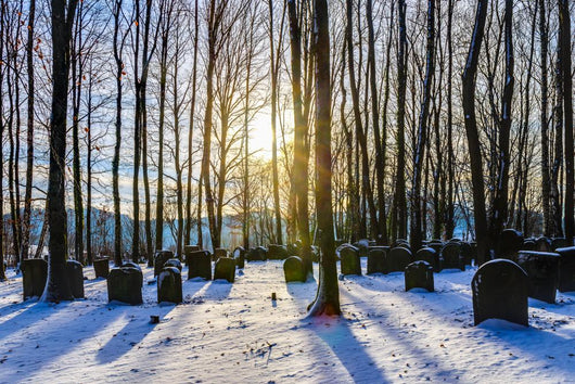 Bavarian Jewish Forest Graveyard Wall Decal