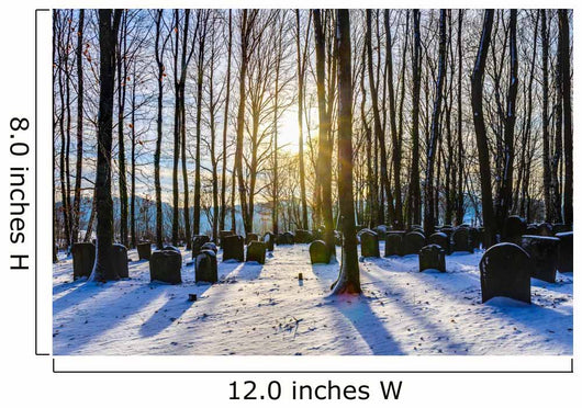 Bavarian Jewish Forest Graveyard Wall Decal