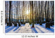 Bavarian Jewish Forest Graveyard Wall Decal