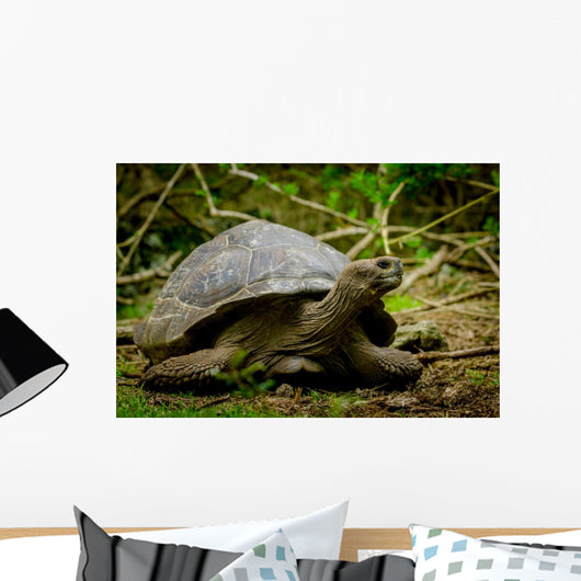 Galapagos Turtle Floreana Island Wall Decal