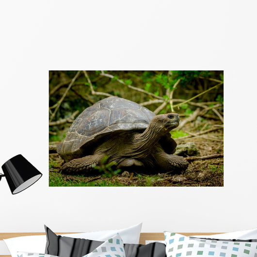 Galapagos Turtle Floreana Island Wall Decal