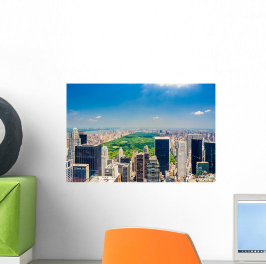 Aerial Central park view Wall Decal