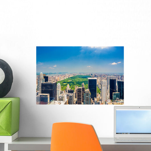 Aerial Central park view Wall Decal