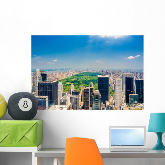 Aerial Central park view Wall Decal