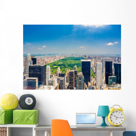 Aerial Central park view Wall Decal