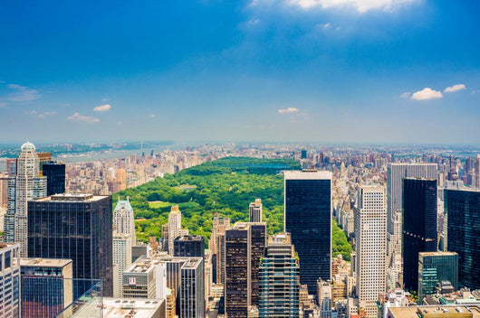 Aerial Central park view Wall Decal